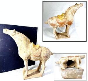yz I ʕn u40cm 4kg t`iĕ Ê pi Ôpi (Ƒo) Зʉ_ʔ