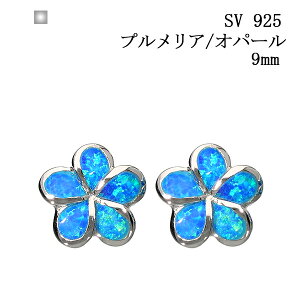 ̓ v[g nCA nCAWG[ sAX vA 9mm VZeBbNIp[ Ip[  Ԃ Vv JWA Vo[ Vo[925 SV WER[eBO 