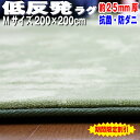 \極厚シリーズ16日02時まで10%OFFクーポン配布中!/【抗菌 防ダニ】ラグ 低反発 ラグ 極厚25mm 200×200cm ラグ 厚手 滑り止め 低反発マ...