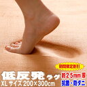 \極厚シリーズ16日02時まで10%OFFクーポン配布中!/【抗菌 防ダニ】ラグ 低反発 ラグ 極厚25mm 200×300cm ラグマット 厚手 滑り止め付 ...