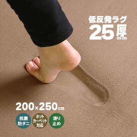 【抗菌 防ダニ】ラグ 低反発 ラグ 極厚25mm 200×250cm ラグ 厚手 滑り止め 低反発マット マット カーペット 長方形 四角 絨毯 オールシーズン可 リビング マイクロファイバー 春 夏 フリーリー