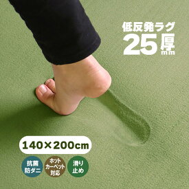 【抗菌 防ダニ】ラグ 低反発 ラグ 極厚25mm 140×200cm ラグ 厚手 滑り止め 低反発マット マット カーペット 長方形 四角 絨毯 オールシーズン可 リビング マイクロファイバー 春 夏 フリーリー