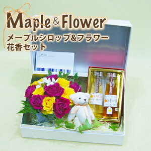 [vVbv  Yy R`R I[KjbN [vVbvu̎vi2{jƃAWg@ԁ{ZbgzJi_ CvVbv _Y _Y |Cg