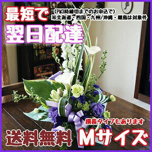 t[Mtg  y t[Mtg AWg MTCY z m  ~  bZ[WJ[h  ԑ ڂ ~ Zbg ԃMtg  |Cg