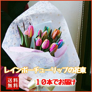 ラナンキュラス 苗の人気商品 通販 価格比較 価格 Com