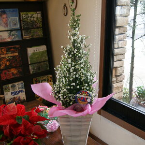 NX}X GJ  XYGJ y  5 NX}X G Ut Ai 60`65cm ja LO Ε NX}X ĕ R NX}XGJ |Cgygi