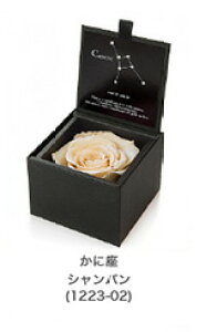 100円 花の人気商品 通販 価格比較 価格 Com 100円 花の人気商品 通販 価格比較 価格 Com