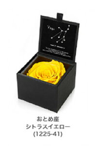 vU[uh  Mtg @Ƃߍi824923܂j̃zXR[v@VgXCG[(1225-41) a LO NX}X |Cg 100~ 300~ 500~