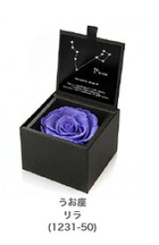 楽天市場 2月誕生日の花の通販