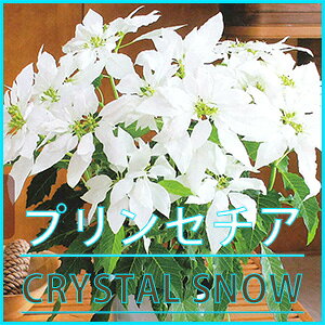 vZ`A |CZ`A A y NX^Xm[  z vZ`Äĕ vZ`AƂ vZ`Aƃ|CZ`ÄႢ a vw̓ LO  NX}