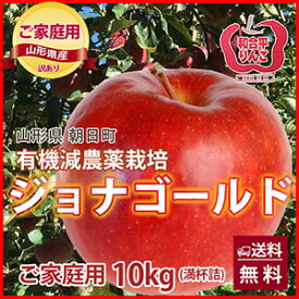 ジョナゴールド りんご 訳あり ご家庭用 10kg 山形県 朝日町 和合平 林檎 甘酸っぱくてジューシー 果汁たっぷり シャキシャキ食感 人気品種 りんご フルーツ 果物 送料無料 お取り寄せ 大容量 訳あり特価 ご家庭向け 内祝い 誕生日 敬老の日 お彼岸 お歳暮 お中元 農産物