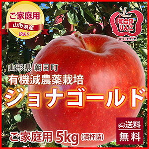 ジョナゴールド りんご 訳あり ご家庭用 5kg 山形県 朝日町 和合平 林檎 甘酸っぱくてジューシー 果汁たっぷり シャキシャキ食感 人気品種 りんご フルーツ 果物 送料無料 お取り寄せ 大容量
