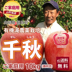  H 󂠂  R` t炸 S 胊S y ƒp H 󂠂 10kg i኱̐FނLj  a tl 10{`20 z@ 10kg 5kg 3kg  