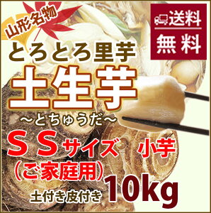   Ƃ TgC R` y y  10kg G Ai SS TCY y Ƃイ z y  Y ۑ  ς낪 ϕ Vs   ̎n ̕ۑ