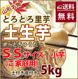 楽天市場 里芋 種芋の通販