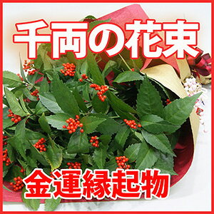 vw̓ 痼 痼̉ԑ  ^N ZE 傤 c    AWg   |Cg ԃMtg