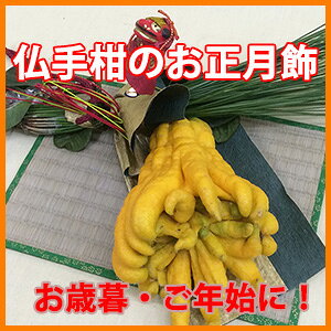 ߏ _  ߓ y 芹iԂĵ z     Vv Lbg [X Lbg ޗ  ߂ |Cg ԃM