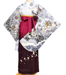 Ǝ уZbg  wZ w WjA ̎q w fB[X  ڑ   Zbg From KYOTO tLEg uh GH O[2 ̔ w