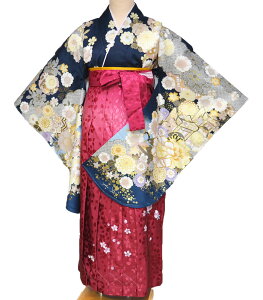 Ǝ уZbg  wZ w WjA ̎q w fB[X  ڑ   Zbg From KYOTO tLEg uh GH 1 ̔ w