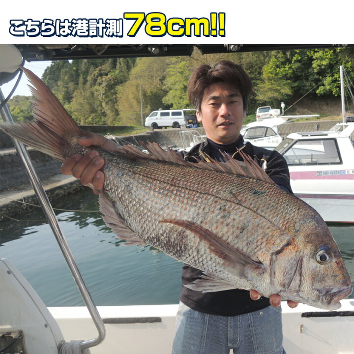 楽天市場 タイラバ ヘッド 90ｇ 鯛ラバ 仕掛け 遊動式 鉛 ボール 保護チューブ装着済み 50m 80mエリアに最適 鯛 根物 アマダイ アマラバ オレンジ 金メッキ 銀メッキ レッドホロ 全4色 単品販売 Led作業灯 集魚灯のksガレージ