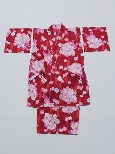 qr H0609-16-120 @TCY120@Ȃ̂V|Y@@킢qpׂEr