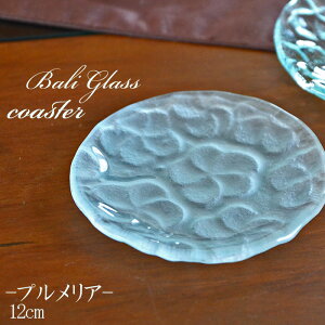 oKX EhgC 12cm vA  oG GXjbN AWA ][gCeA KX fBXvC M {E g[ v[g ~jTCY   ی^ ~` 