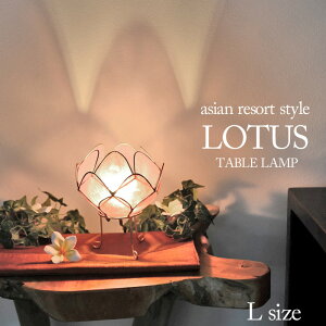 Ɩ [^X (@̉) sLtH17cm 20 CgsN JsXL 썑][g RpNg ȒPݒu VRf Rf  ꂢ 킢 ؂₩ Ɩ AWA zI CeA v