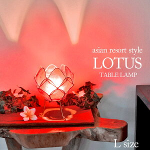 Ɩ [^X (@̉) sLtH17cm 20 bh JsXL 썑][g RpNg ȒPݒu VRf Rf  ꂢ 킢 ؂₩ GL]`bN zI CeA v[