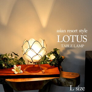 Ɩ [^X (@̉) sLtH17cm E12/20W zCg JsXL 썑][g RpNg ȒPݒu VRf Rf  ꂢ 킢 ؂₩ zI CeA AWA o G