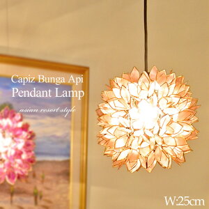 yLEDdWz݂艺Ɩ uKAs 25cm×25cm E26 60W SLA-0020-LPK CgsN JsXVF Ɩ y_gCg nMOCg VƖ ԐڏƖ Ɩ AWA VF J