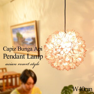 yLEDdWzyAEgbgz݂艺Ɩ E26 60W suKAst aF40cm sN Ɩ y_gCg V[OCg JsXL Ɩ AWA i` ԐڏƖ VF[h 