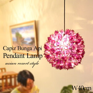 yAEgbgzyLEDdWz݂艺Ɩ E26 60W suKAst aF40cm p[v Ɩ y_gCg V[OCg JsXL Ɩ AWA i` ԐڏƖ VF[