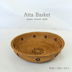 AWA G A^ EhgC oXPbg  ی^ 30cm BAS-0148 oG AWAG AWACeA  Lb`G  [   JS g[ gC 