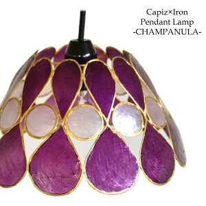 yLEDdWzJsXL Ɩ y_gCg CHAMPANULA S4F p[v Jpj Ae ݂艺Ɩ VƖ ԐڏƖ d dC P VF[h Ɩ AWA CeAƖ 