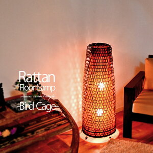 yLEDdWz҂ ^ tACg H105cm 60W IW  u Ɩ XyV O  AWA Cg oG GXjbNƖ AWAeCXg ][g LED C