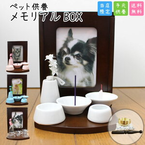 ybgd Zbg ABOX uE 8_Zbg ybgd ~j Zbg IׂJ[ 2`4َ[A{bNX 茳{ ~jd  ^ ʐ^t  L 