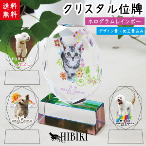 ybgʔv NX^ʔv F zO vY tJ[vg  I[opJbg C{[ e ybge ~jʔv ~je T[rX { 茳{ 