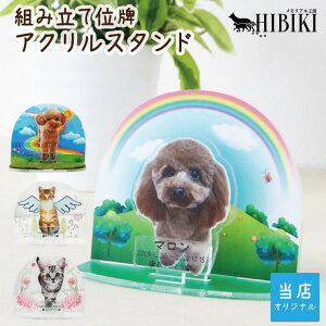 ybgʔv gݗĎ ANX^h tJ[vg ʐ^ C{[ 킢 ybg L ybg{ ybgX ʔv AN  d fUC _ 茳{
