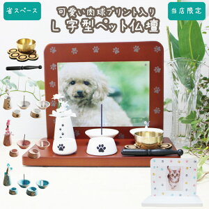 ybgd Zbg L  tJ[vg  蕧8_Zbg RN}bg IWi ~jd ybg{ L ybg 49  茳{ ybg{ 
