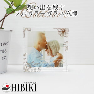 NX^ʔv AtHg Lg KX tJ[vg {^jJfUC 茳{ vo̎ʐ^ۑ d  e 茳{  tJ[vgT[rX 