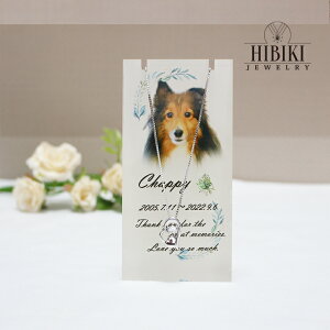 _VOXg[ NXtH[ ⍜ y_g I[_[Ch y_gX^hA WG[ h 茳{ ⍜   ybg{  L WRjA lH_C