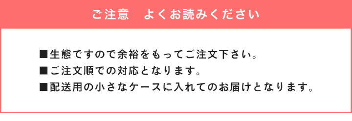 送料無料