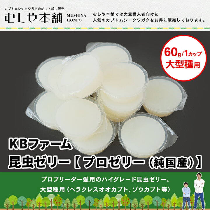 楽天市場】『エントリーでポイント5倍』むしや本舗 食いつき抜群 