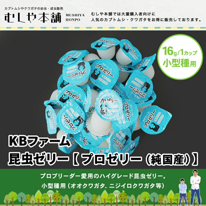 楽天市場】『エントリーでポイント5倍』むしや本舗 食いつき抜群 