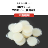 むしや本舗 食いつき抜群！ プロゼリー（KBファーム社製）純国産 昆虫ゼリー 大型種用 60g/1カップ ゼリ…