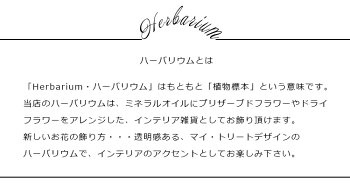 ハーバリウムグリーン【ギフト】母の日/プリザーブドフラワー/ブルックリンスタイル/塩系インテリア/男前インテリア/花ギフトお祝い結婚祝新築祝お誕生日/花雑貨/プリザードフラワーギフト/雑貨