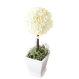 yS4zLfB[gsA[ vU[uht[ t[Mtg LO vU[uht[Mtg Mtg j Vzj a  j