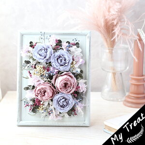 y}WJEt[z vU[uht[ Mtg j Vzj Ǌ|  ݃J[