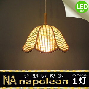�y���_���g���C�g ���V���C�e�B���O Nagasawa NA �i�|���I�� �i�E�B�b�J�[�i�`������1���y���_���g�j