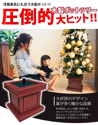 葉先のアップ。